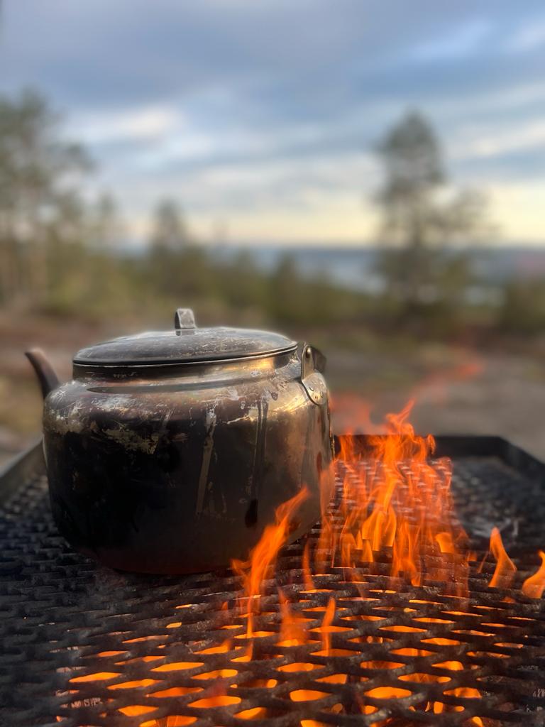 Smakvandring Höga Kusten